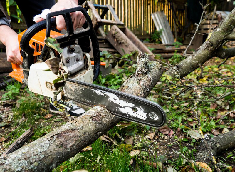 Close-up Of Cutting A Tree With Chainsaw