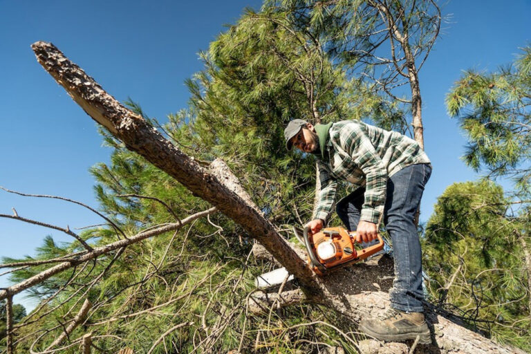 Man Cutting Tree
