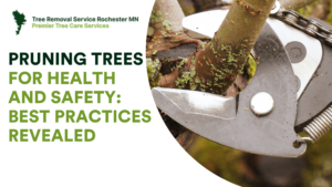 Pruning Trees for Health and Safety: Best Practices Revealed