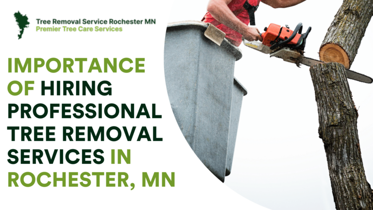 The Importance of Hiring Professional Tree Removal Services in Rochester, MN