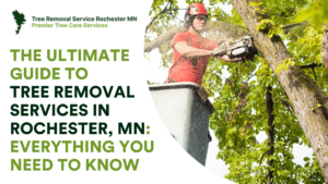 The Ultimate Guide to Tree Removal Services in Rochester, MN: Everything You Need to Know