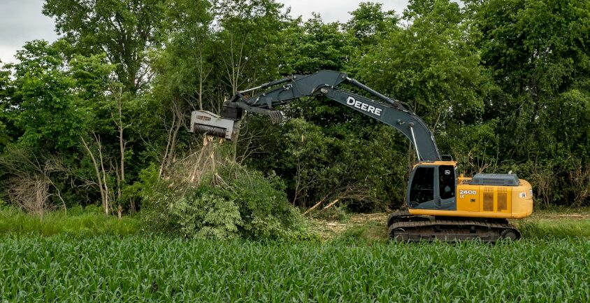 tree removal service rochester mn